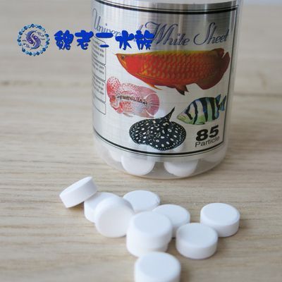 龍魚大白片定期檢疫：龍魚大白片定期檢疫時需要注意以下幾點(diǎn)，保障龍魚健康