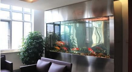 辦公室養(yǎng)龍魚好嗎（辦公室養(yǎng)魚，原來還有這么多風(fēng)水講究!）