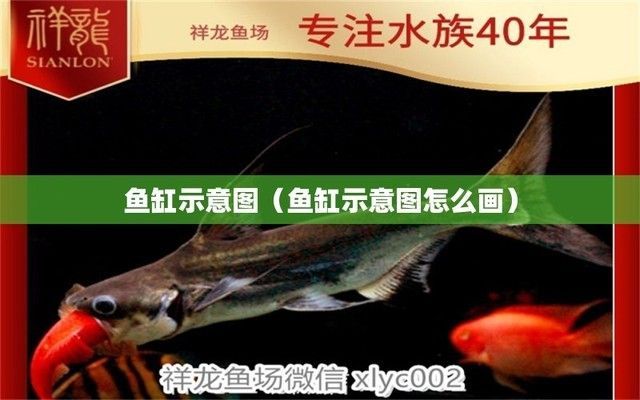 魚缸的擺放位置示意圖怎么畫的，如何繪制魚缸的擺放位置示意圖
