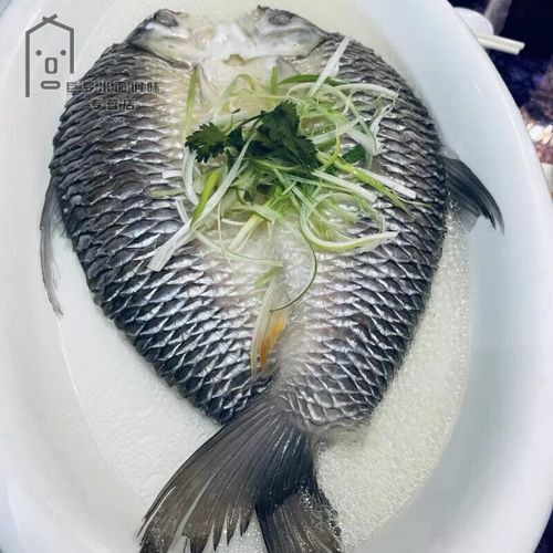 馬來西亞忘不了魚圖片