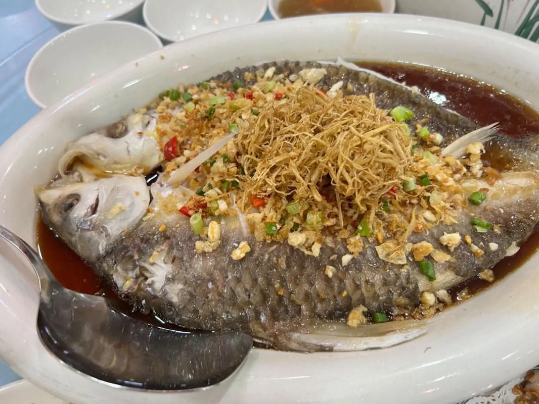 馬來西亞忘不了魚圖片