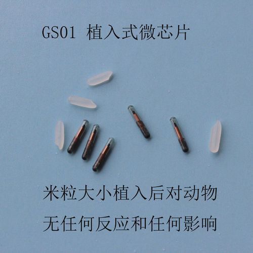 龍魚芯片圖片