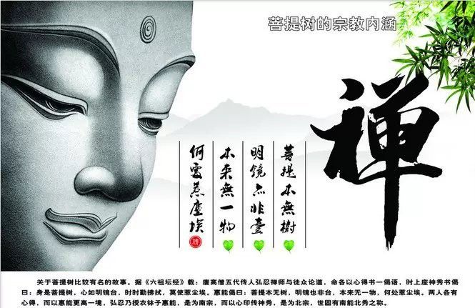 有哪些平臺提供高清龍魚缸壁紙？