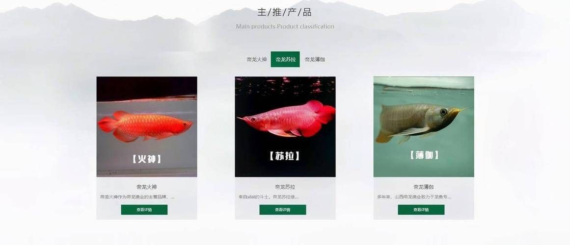 龍魚芯片證書如何查詢？