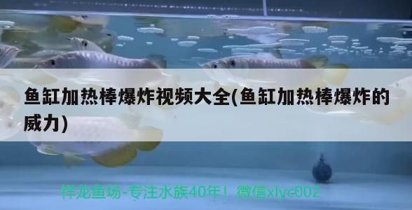 魚缸加熱棒爆炸視頻大全(魚缸加熱棒爆炸的威力)