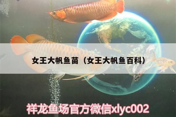 女王大帆魚苗水質(zhì)管理技巧，