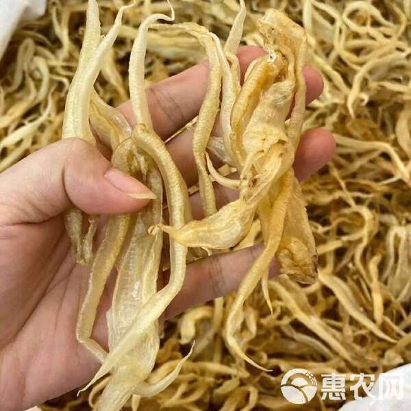 金龍魚(yú)膠1300一斤貴嗎