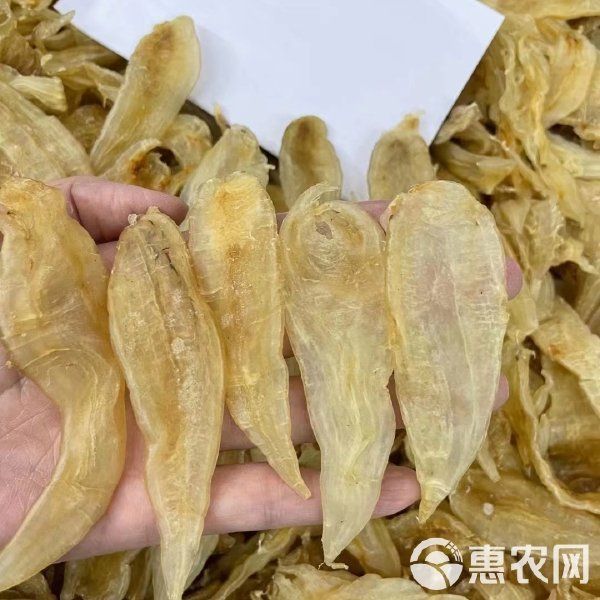金龍魚(yú)膠1300一斤貴嗎