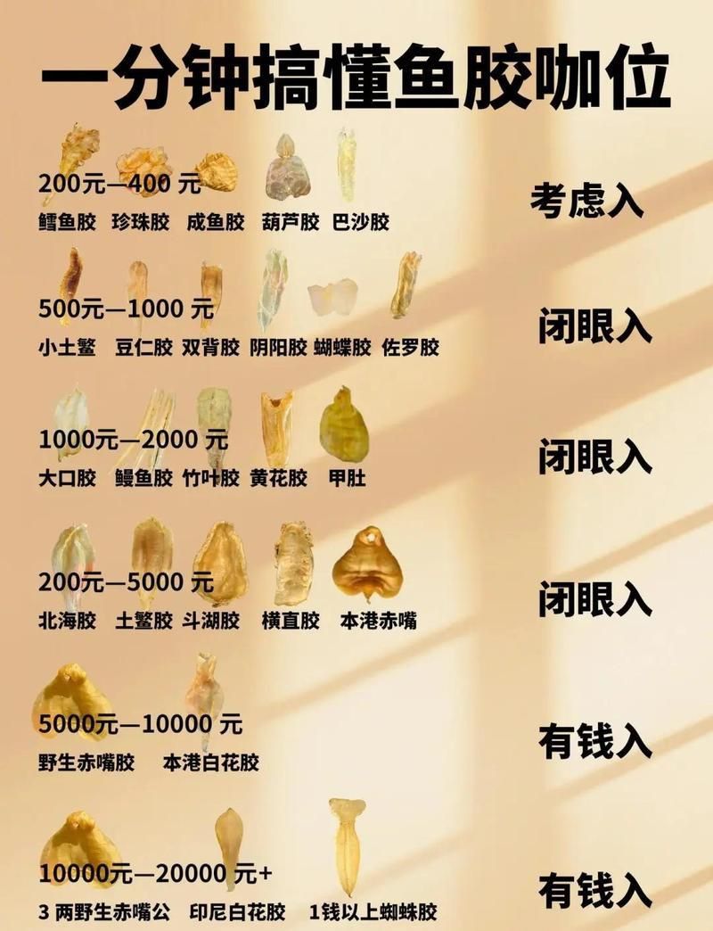 金龍魚(yú)膠1300一斤貴嗎