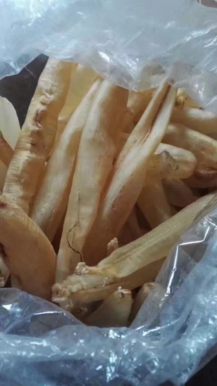 金龍魚(yú)膠1300一斤貴嗎