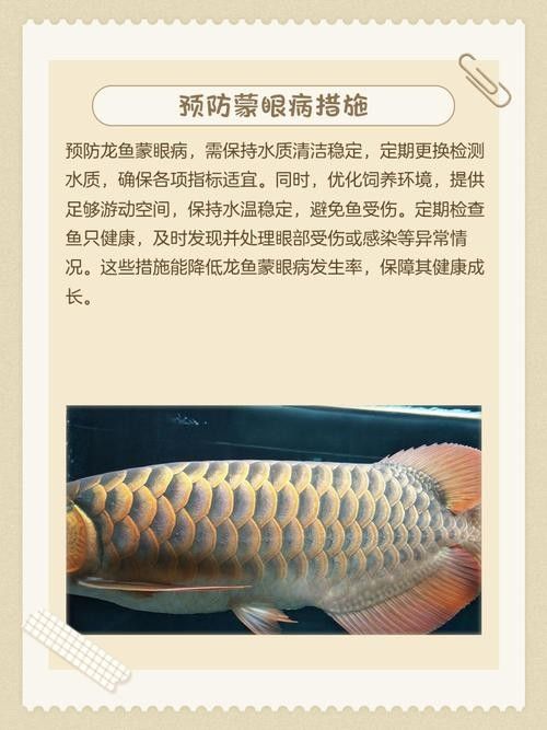 龍魚眼睛有點白膜怎么回事圖片