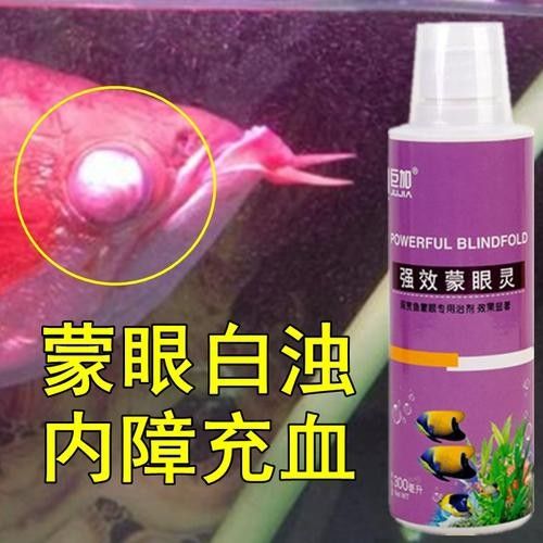 龍魚眼睛有點白膜怎么回事圖片