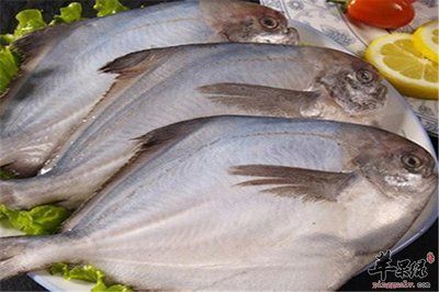 鯧魚和龍魚混養