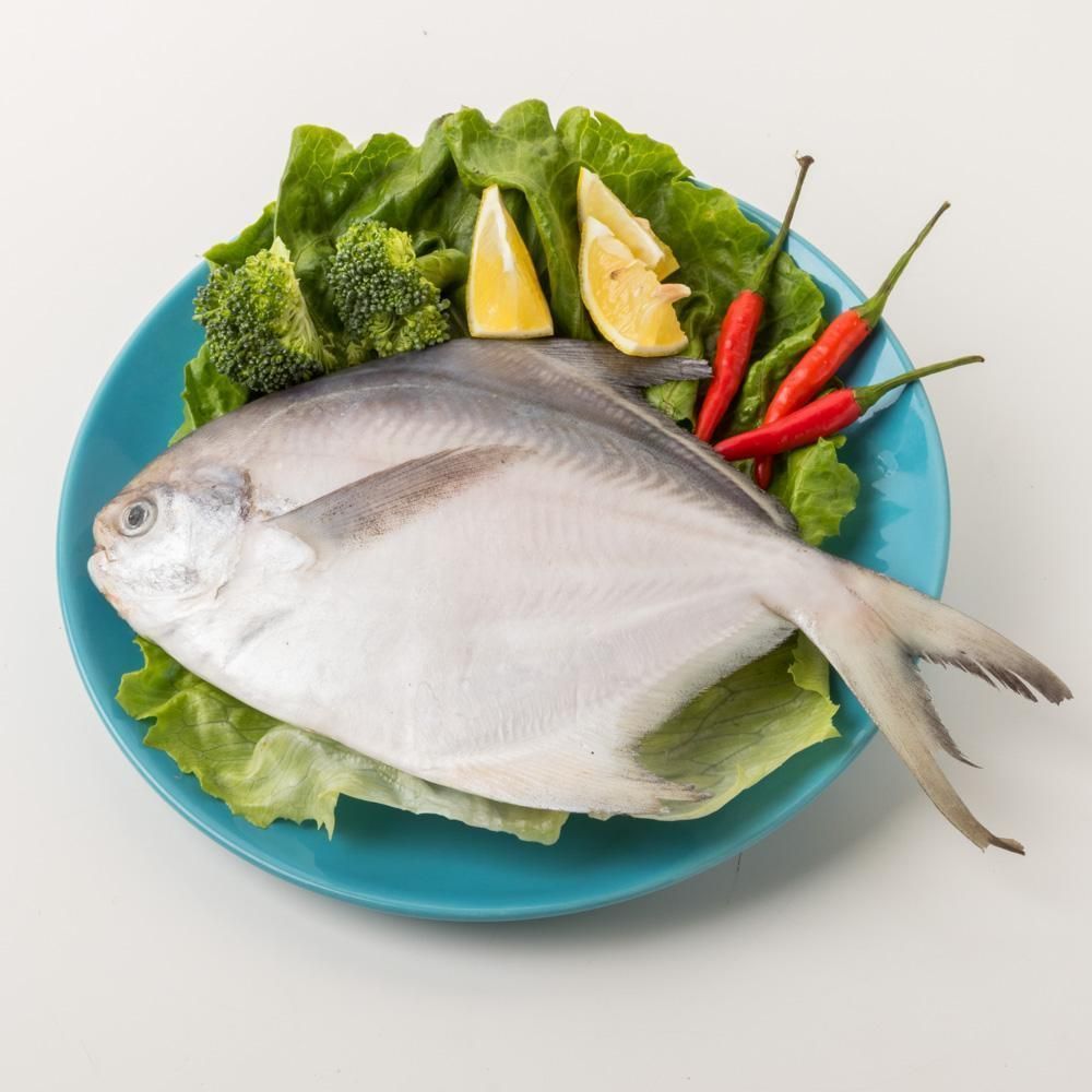鯧魚和龍魚混養
