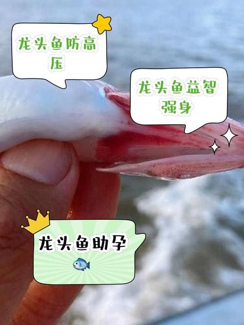 龍魚雌雄結構圖片
