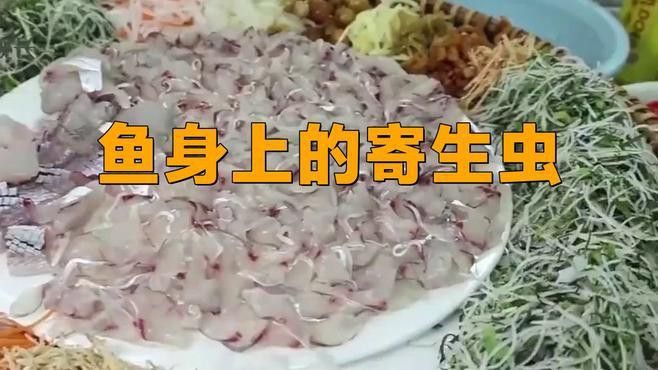 哪些寄生蟲對龍魚危害最大？