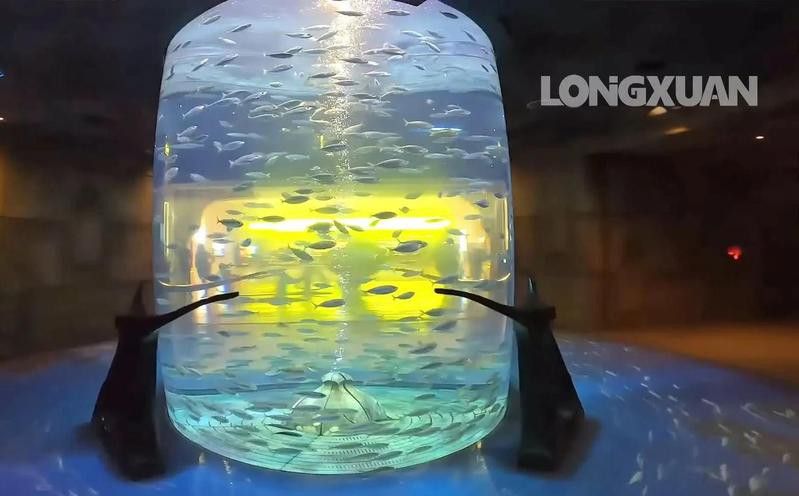 紅龍魚受到重金屬污染后如何處理？