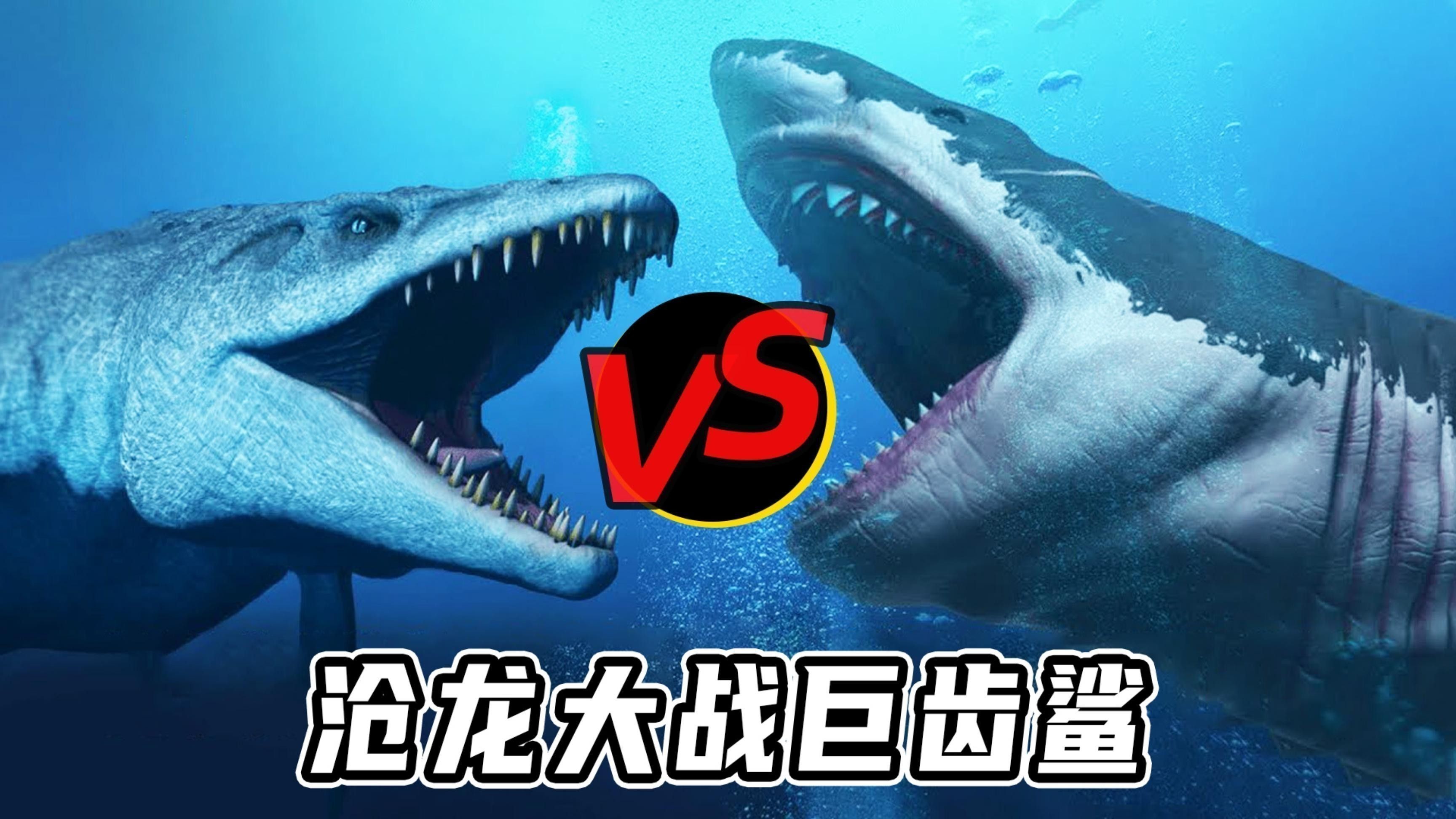 滄龍與巨齒鯊哪個更大？