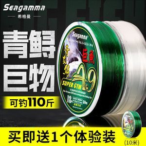 青龍魚線價格（青龍魚線價格是多少）