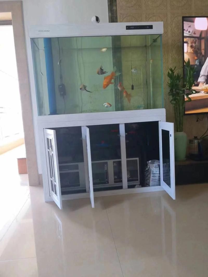 如何保持金龍魚缸水溫穩定？