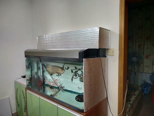 如何保持金龍魚缸水溫穩定？