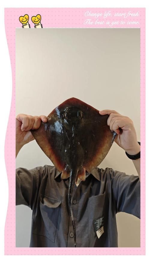 魔鬼魚(yú)圖片大全