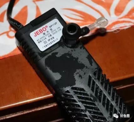 濟(jì)南龍魚交流群微信號是什么號