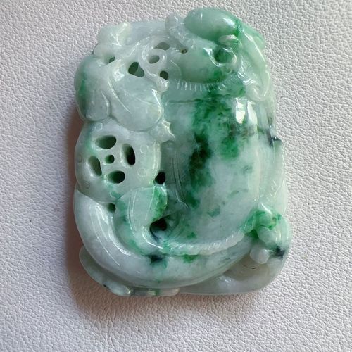 翡翠龍魚圖片大全大圖