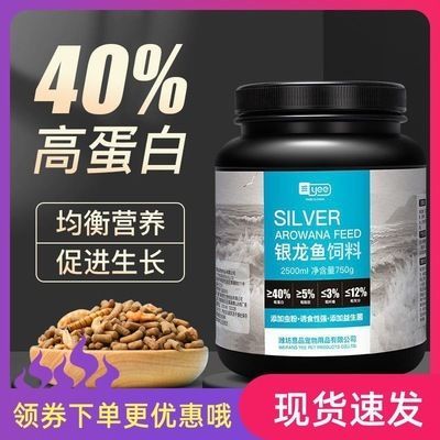 金龍魚照片真實(shí)照片高清：金龍魚的真實(shí)高清照片