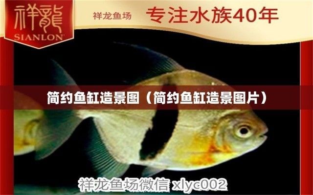 落地式魚缸造景圖片（落地式魚缸造景技巧分享）