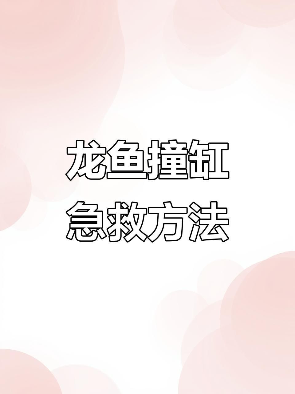 龍魚撞缸后多久會恢復