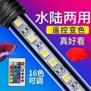 龍魚燈管應該放在哪個部位好看：30篇龍魚燈管布局龍魚燈管安裝技巧龍魚燈管安裝技巧 龍魚燈管應該放在哪個部位好看：30篇龍魚燈管布局龍魚燈管安裝技巧龍魚燈管安裝技巧 龍魚百科 第2張