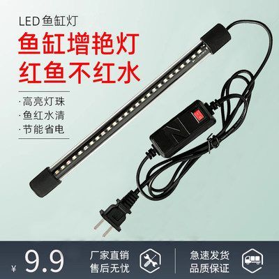 龍魚燈管應該放在哪個部位好看：30篇龍魚燈管布局龍魚燈管安裝技巧龍魚燈管安裝技巧 龍魚燈管應該放在哪個部位好看：30篇龍魚燈管布局龍魚燈管安裝技巧龍魚燈管安裝技巧 龍魚百科 第3張