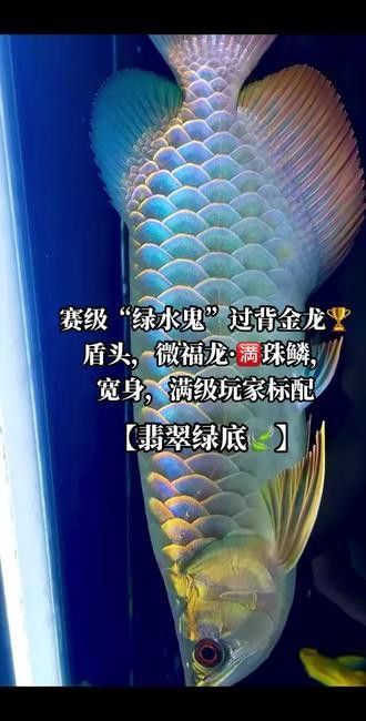 翡翠綠金龍魚值錢嗎