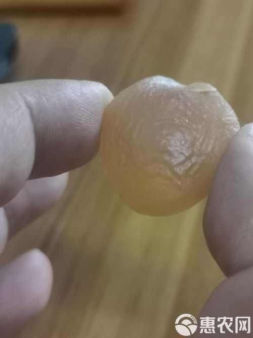 最貴的魚寶照片