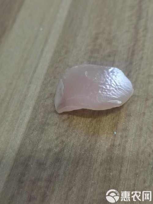 最貴的魚寶照片
