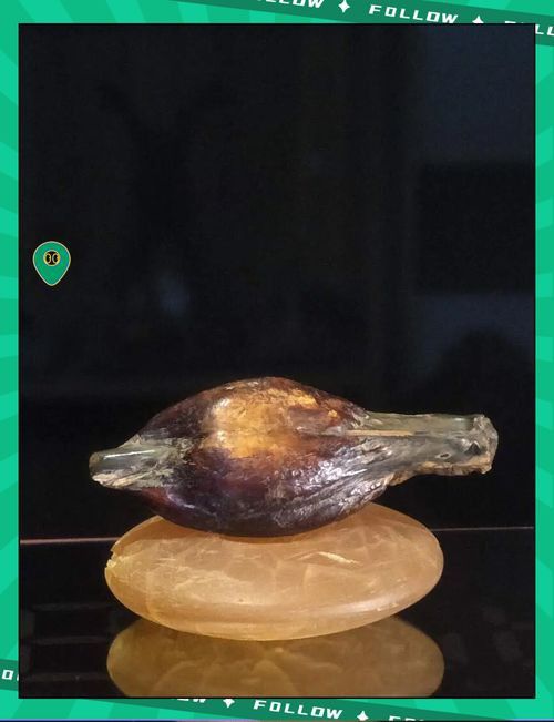 最貴的魚寶照片