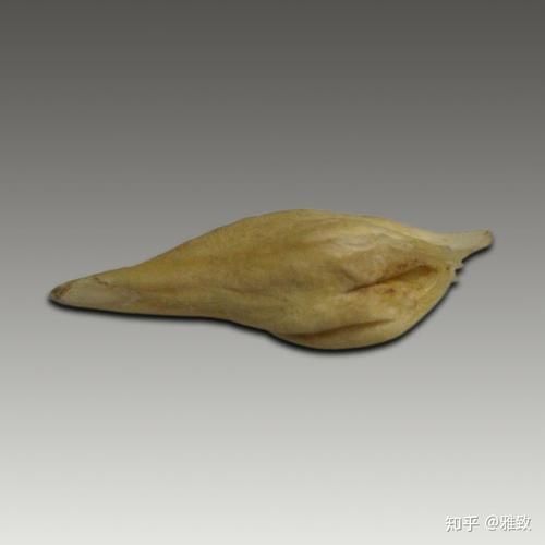 最貴的魚寶照片