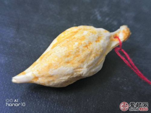 最貴的魚寶照片