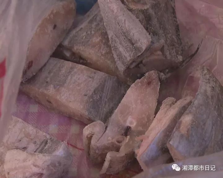 最貴的魚寶照片