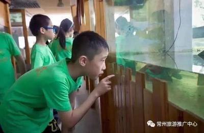 黑鉆 魚缸 龍魚怎么養：養殖龍魚需要注意哪些問題？