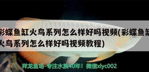 彩蝶魚缸哪個系列好