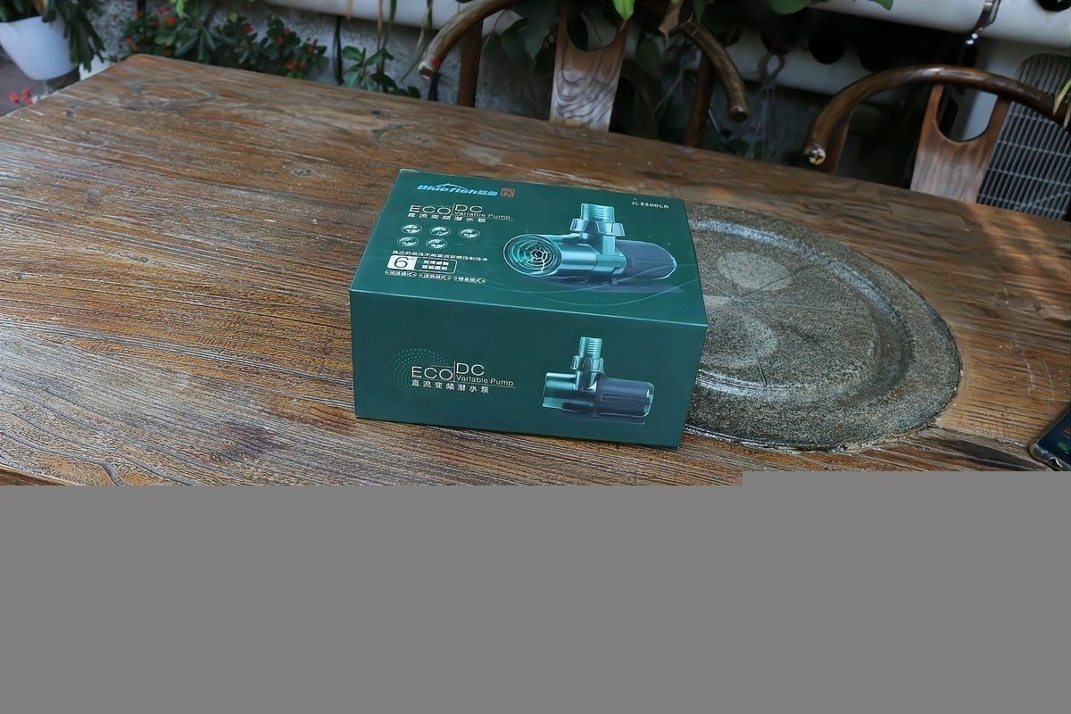 龍魚黑缸是什么缸