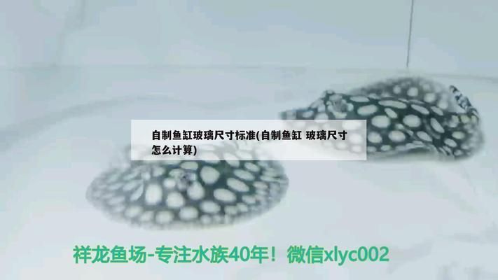 龍魚之家魚缸玻璃計算器：魚缸玻璃計算器