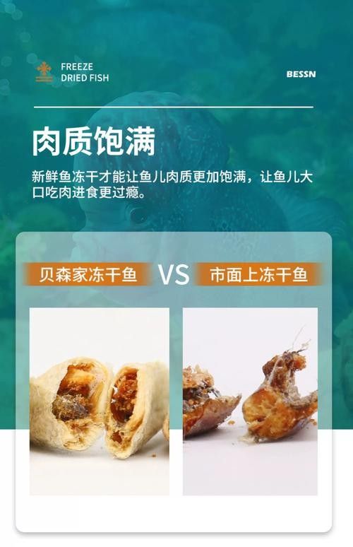 銀龍魚喂啥