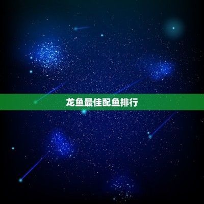 龍魚配什么魚風水好：龍魚與這3種魚搭配在一起，寓意著財富和權力，你知道嗎