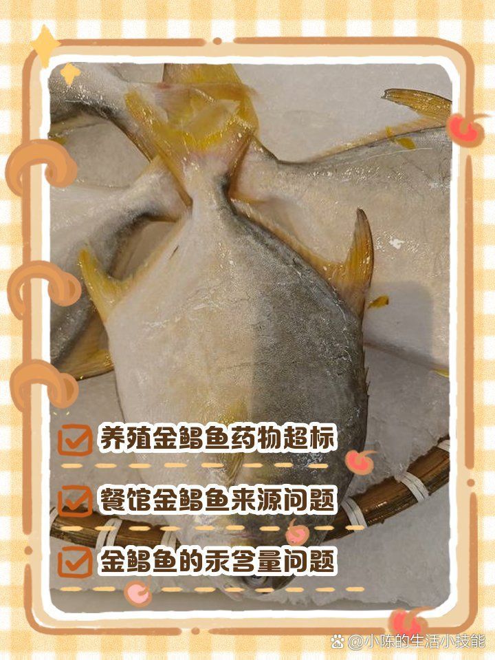 金鯧魚盡量少吃的原因