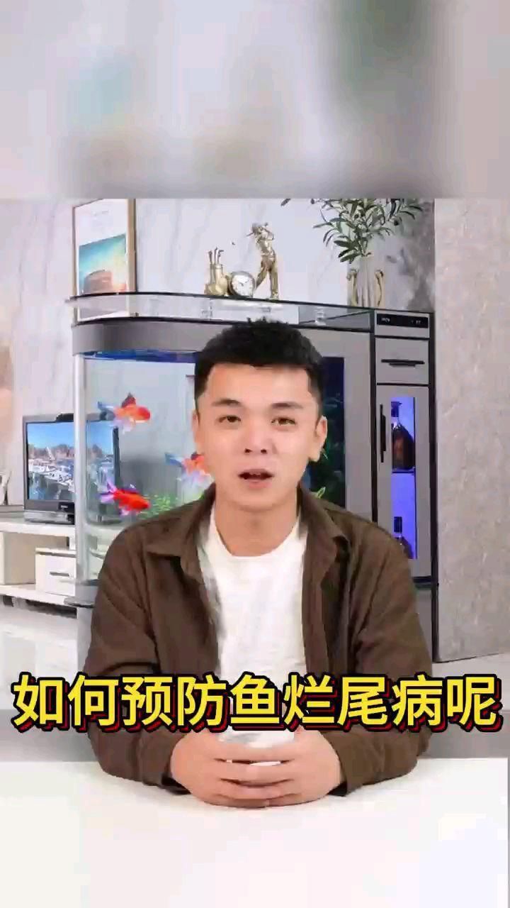 如何預防金魚再次爛尾？