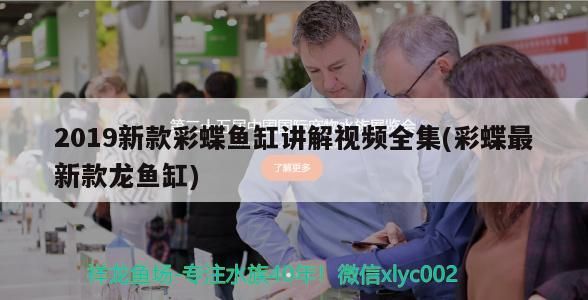 2019新款彩蝶魚缸講解視頻全集(彩蝶最新款龍魚缸) 2019新款彩蝶魚缸講解視頻全集(彩蝶最新款龍魚缸) 龍魚百科