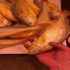 海魚金龍魚的價格多少錢一斤